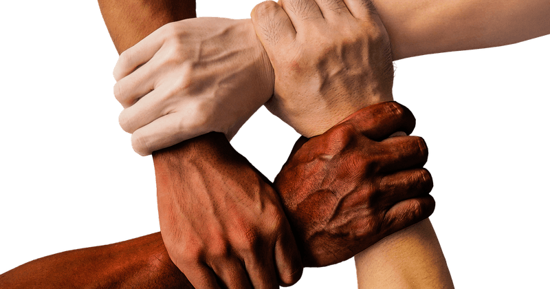 Inclusive Research Methods for LGBTQ+ Populations: A Guide